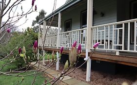 Lottie'S Bed & Breakfast At Fielderberry Farm